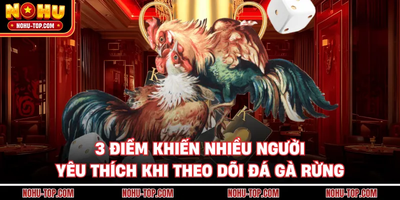 3 Điểm Khiến Nhiều Người Yêu Thích Khi Theo Dõi Đá Gà Rừng