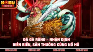 Đá Gà Rừng - Nhận Định Diễn Biến, Săn Thưởng Cùng NỔ HŨ
