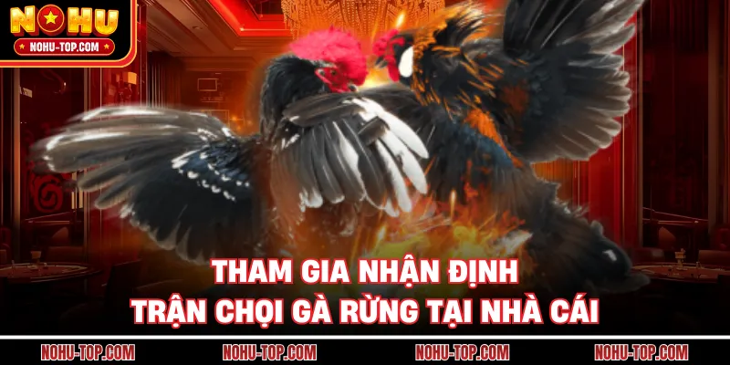 Tham Gia Nhận Định Trận Chọi Gà Rừng Tại Nhà Cái